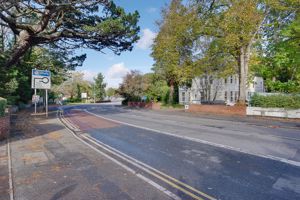 Street View- click for photo gallery